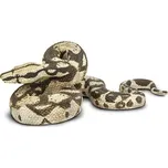 SAFARI 266529 HROZNÝŠ KRÁLOVSKÝ