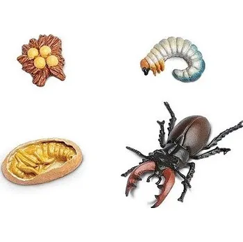 Dřevěná hračka SAFARI 661416 ŽIVOTNÍ CYKLUS ROHÁČ