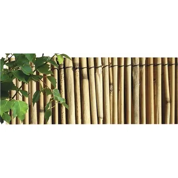 zahradní zástěna Rákosová rohož přírodní 2 x 5 m