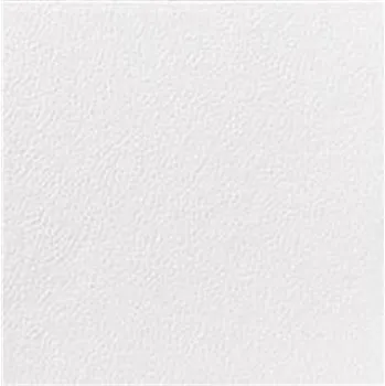 Papírový ubrousek SAHM K-Ubrousek 33x33 cm 1 vrstvý WHI - 500ks/bal 100021445