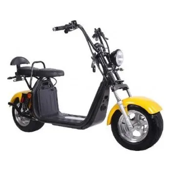 Elektrický skútr Citycoco HR2-4 EEC - legální na cesty, kapacita baterie 60V 20Ah, Barva zelená