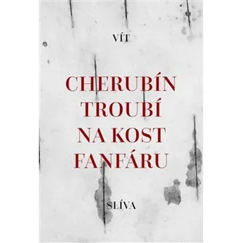 Poezie Cherubín troubí na kost fanfáru - Vít Slíva (2020, brožovaná)