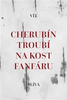 Poezie Cherubín troubí na kost fanfáru - Vít Slíva (2020, brožovaná)