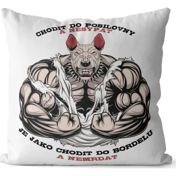 Dekorativní polštářek Polštář Chodit do posilovny (Velikost: 40 x 40 cm)