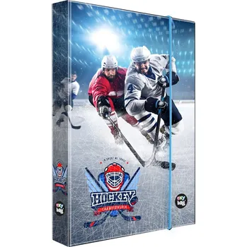 Karton P+P Box na sešity A4 3 cm, Hokej