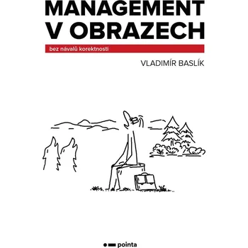 Management v obrazech bez návalů…