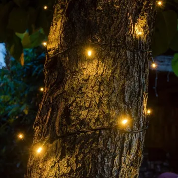 Vánoční osvětlení Decoled LWS34W řetěz 32 LED teplá bílá