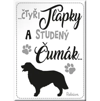 Dekorativní magnet Magnet se psem Retrívr