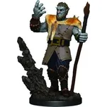 WizKids D&D Icons of the Realms Premium Figures: Male Firbolg Druid