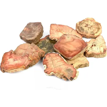 Přírodní kámen Zkamenělé dřevo leštěné menší (Madagaskar)