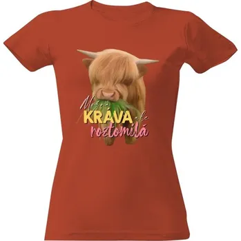 Dámské tričko Tričko s potiskem Roztomilá kráva dámské