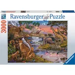 Ravensburger Království zvířat 3000…