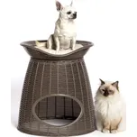 Bama Pasha 52 x 50 x 55 cm