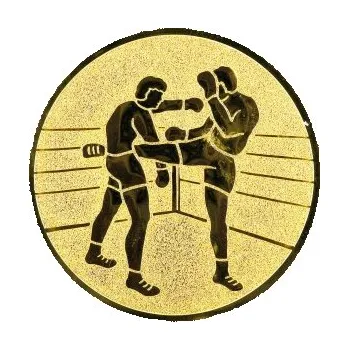 Emblém kickbox,thaibox Barva: zlato, Průměr: 2,5 cm