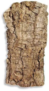 Dekorace do terária JBL Cork Bark korková kůra 1 kg