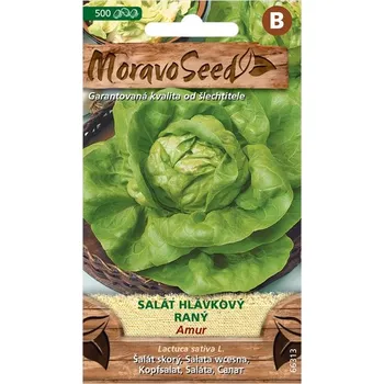 Semeno MoravoSeed Amur 66313 salát hlávkový raný 500 ks