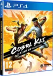 Cobra Kai: The Karate Kid Saga…