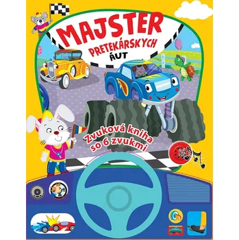 Bystrá hlava Majster pretekárskych áut