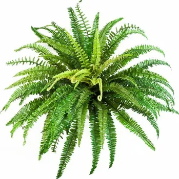 umělá květina Umělá rostlina Bostonské kapradí DELUXE, 85cm