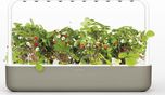 Click and Grow Smart Garden 9