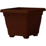 Plastia Begonia 18 cm čokoládový