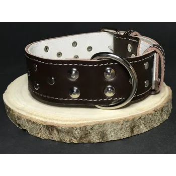 Obojek pro psa Palkar zdobený obojek z kůže hlazenice pro psy 50 cm x 40 mm hnědý (Palkar zdobený obojek z kůže hlazenice pro psy 50 cm x 40 mm hnědý)