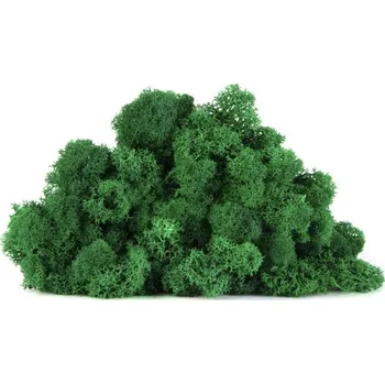 Dekorační stabilizovaný mech sobí 4 kg, trávově zelený