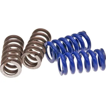 Spojková sada Sada pružinek spojky pro Polini Speed Clutch 2G EVO2, 2 páry 245.075