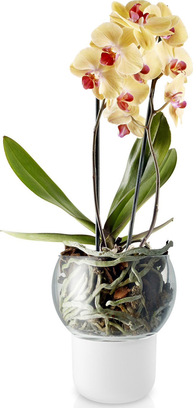 Samozavlažovací květináč 15 cm, na orchideje, sklo, Eva Solo