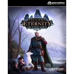 Pillars of Eternity The White March Part 2 PC – digitální verze - Hraj již za pár minut
