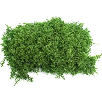 umělá květina Stabilizovaný mech Lycopodium plochý 1,5 kg - zelený (flat mech)