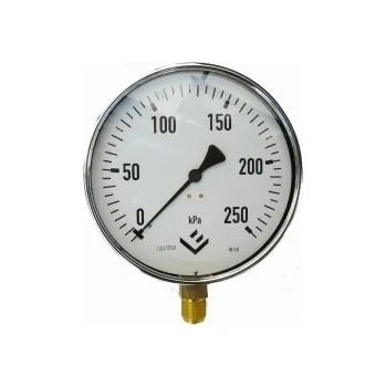 Manometr 313 0-100 kPa 1.6% M20