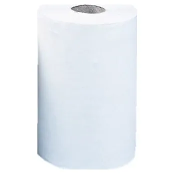 Papírový ručník Papírové ručníky v roli, 2 vrstvy, návin 65 m S109
