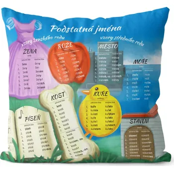 Dekorativní polštářek Polštář Vzory podstatných jmen (Velikost: 40 x 40 cm)