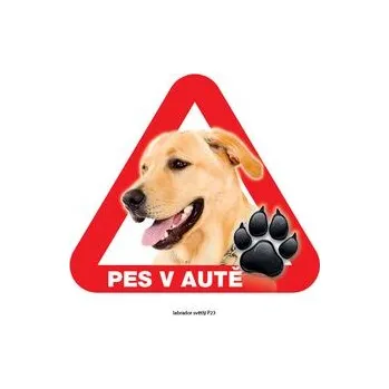 Značení Grel nálepka na sklo pozor pes v autě labrador světlý