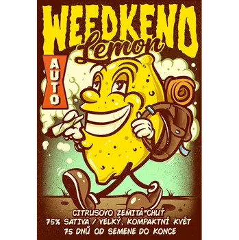 Pěstitelství WEEDKEND LEMON Autoflower (Samonakvétací, feminizovaná semena WEEDKEND LEMON Autoflower)