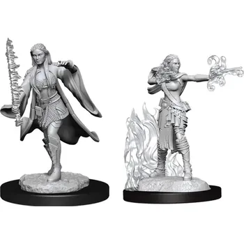 Desková hra WizKids D&D Nolzur's Marvelous Miniatures - Multiclass Warlock + Sorcerer Female