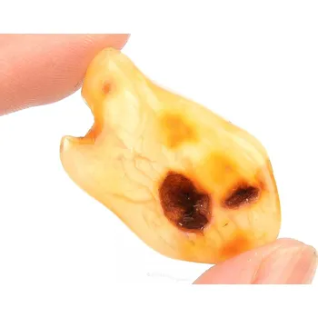 Přírodní kámen Jantar z Litvy 3,1g