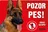 JUKO petfood Pozor pes! Zákaz vstupu!, německý ovčák