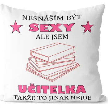 Dekorativní polštářek Polštář Sexy učitelka (Velikost: 40 x 40 cm)