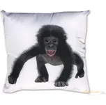 DADKA VRACOV Fotopolštářek 40 x 40 cm