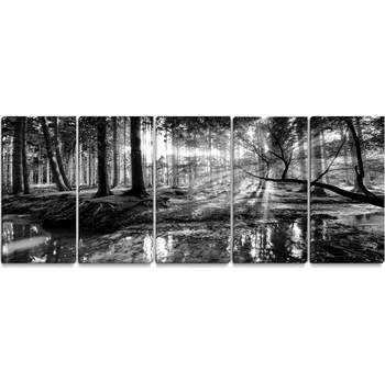 Obraz Malvis ® Obraz černobílá pohoda lesa Velikost: pětidílný obdélník - 100x45 cm