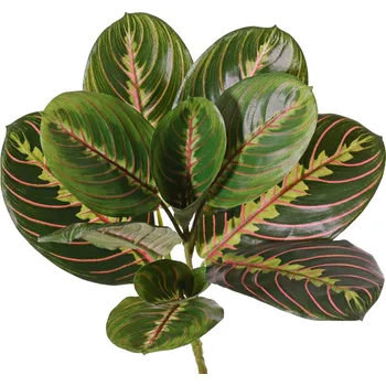 umělá květina Umělá květina Maranta, 28cm
