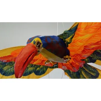 Létající drak Drak pták ( podobný tukanovi )