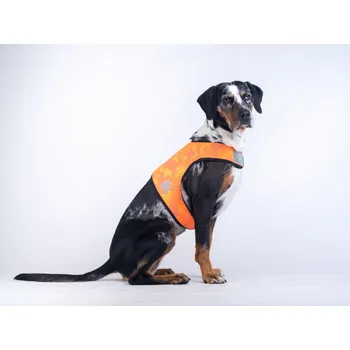 Obleček pro psa Out-n-out vesta Reflective Barva: oranžová, Velikost: M
