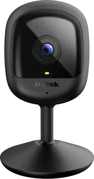 IP kamera D-link DCS-6100LH/E