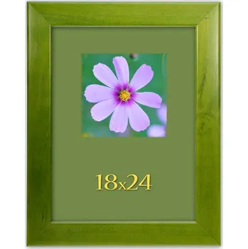 Rám na obraz Tradag Rámeček Color zelený 18x24
