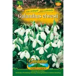 Nohel Garden Sněženka 8 ks
