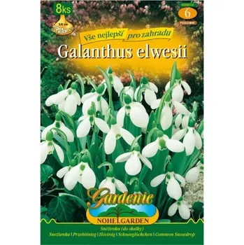 Semeno Nohel Garden Sněženka 8 ks