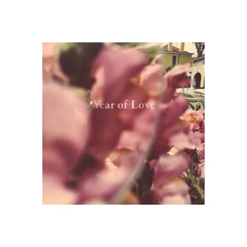 Zahraniční hudba Year of Love - Beta Radio [CD]